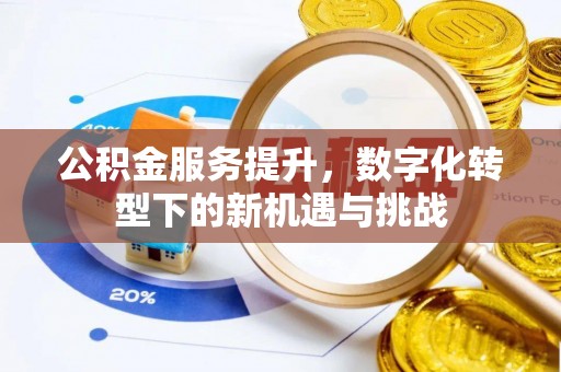 魏县公积金服务提升，数字化转型下的新机遇与挑战