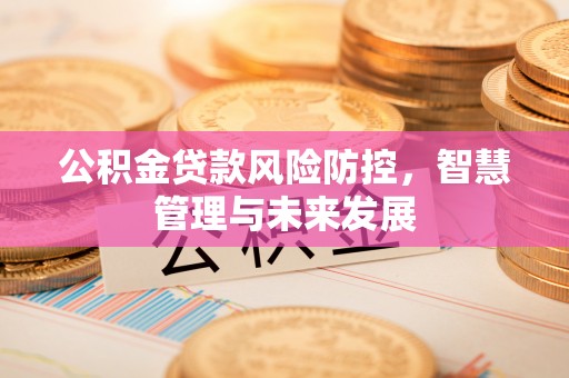 魏县公积金贷款风险防控，智慧管理与未来发展