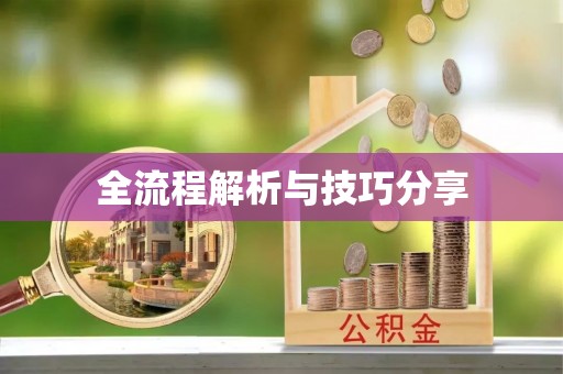 魏县全流程解析与技巧分享